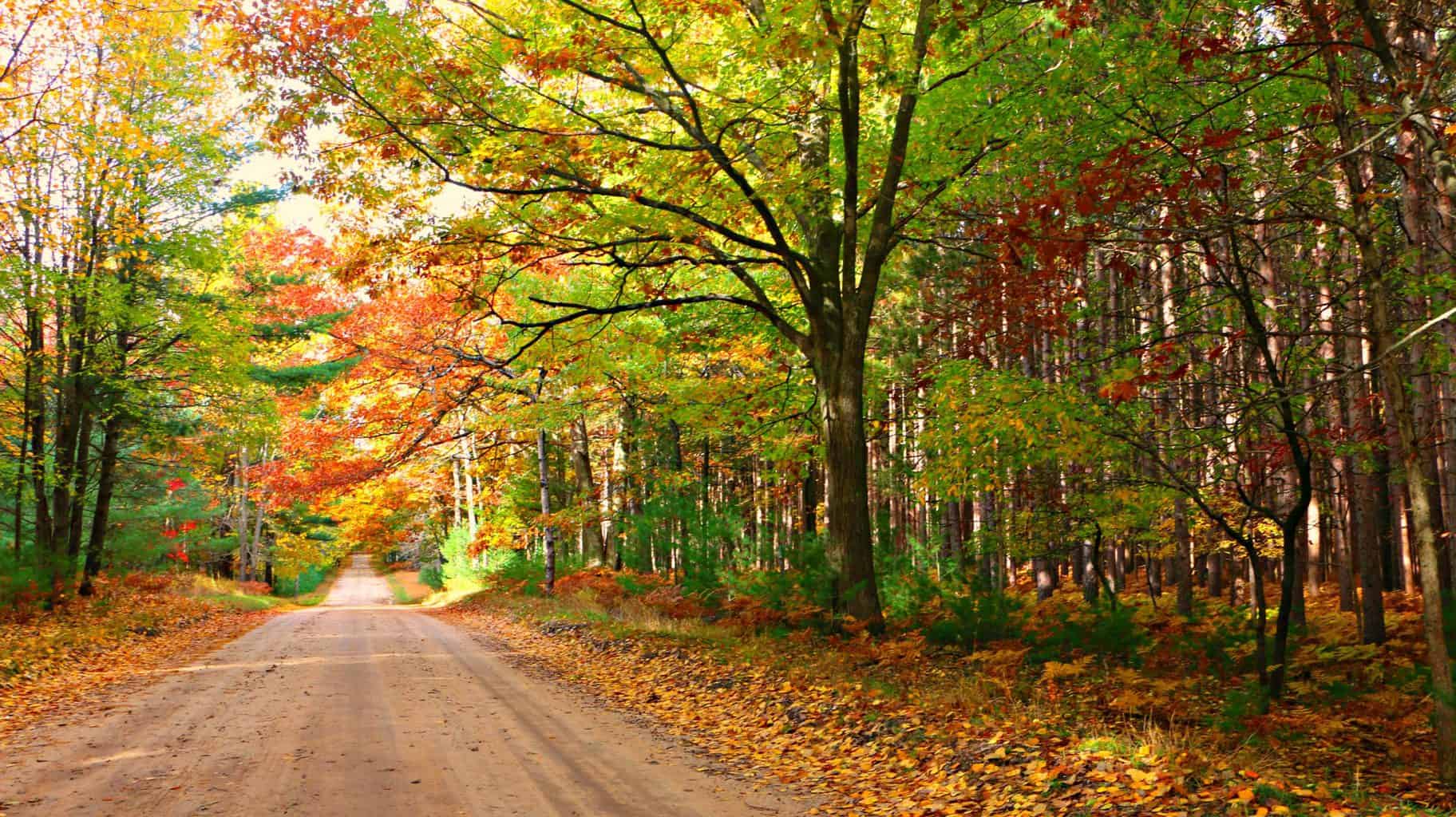 Small Town Stories inspiration for visiting Michigan’s Thumb